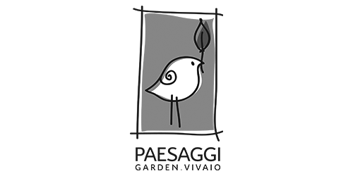 Paesaggi