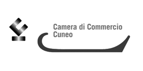 cameracommercio